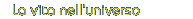   La vita nell'universo