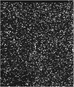 figures/test.jpg