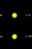 figures/exoplanet_inclinaison.gif