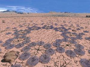images/lofar.jpg