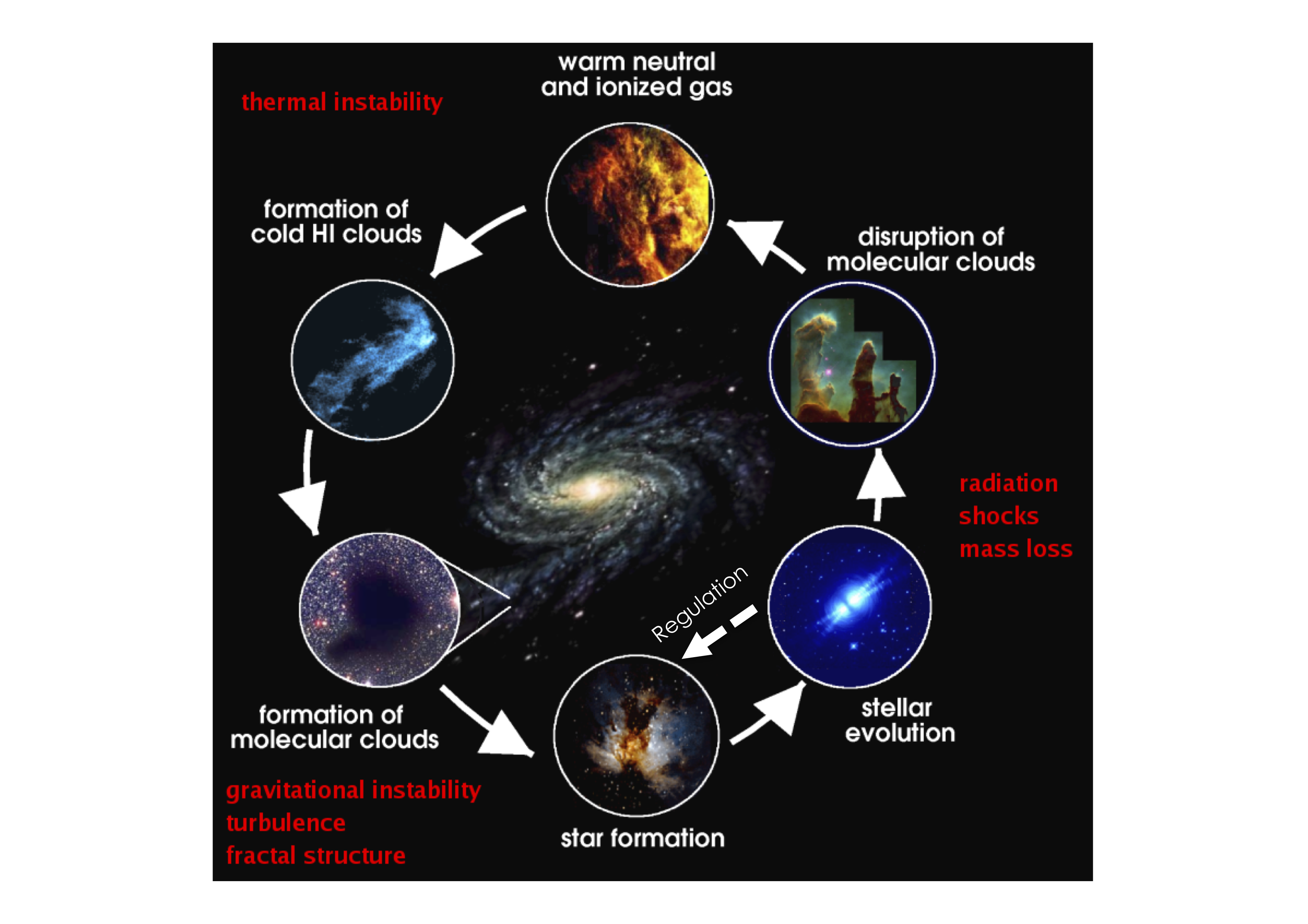 LifeCycle-MIS.png
