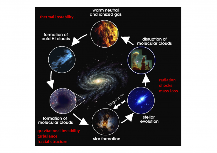LifeCycle-MIS.png