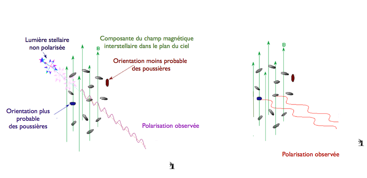 Schempolarisation.png