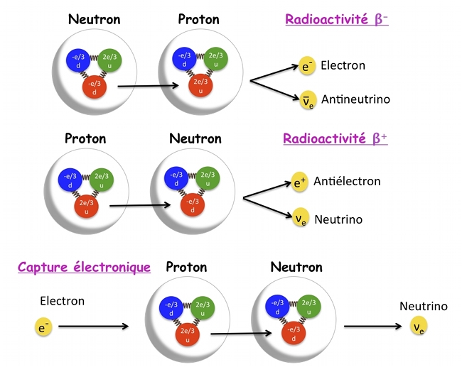 force_faible_betadecay.jpg