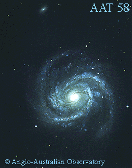 m100.gif