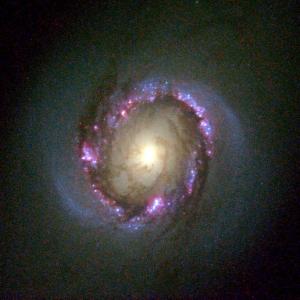 images-hd/ngc4314.jpg