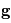 \mathbf{g}