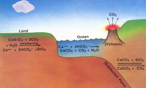 co2_cycle.jpg