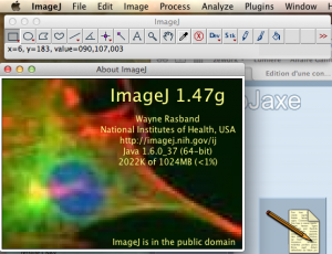 illustrations/ImageJ.png